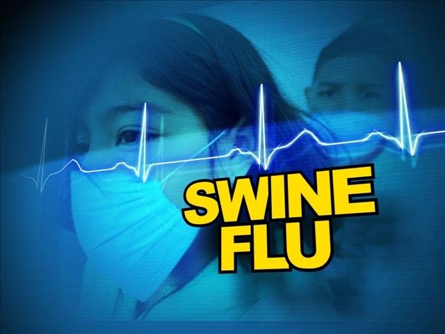 Swine Flu H1N1 Virus