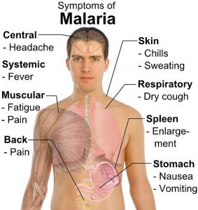 Malaria ka ilaj