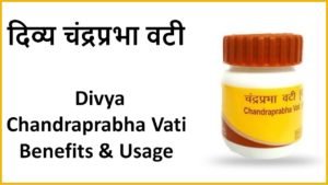 Divya Chandraprabha Vati