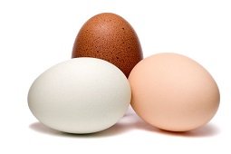 Egg For Weight Gain