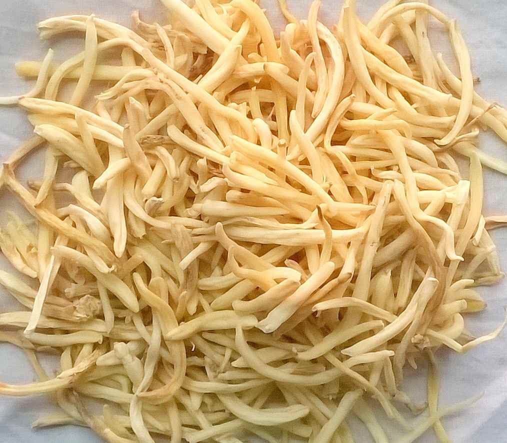 Safed musli for penis enlargement